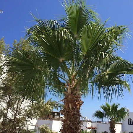 Green Apartment Costa Teguise
